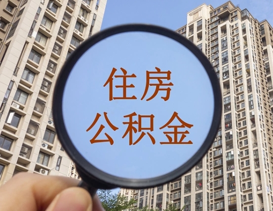 福鼎退休后查不到公积金明细了吗（退休后公积金查询不到原因）